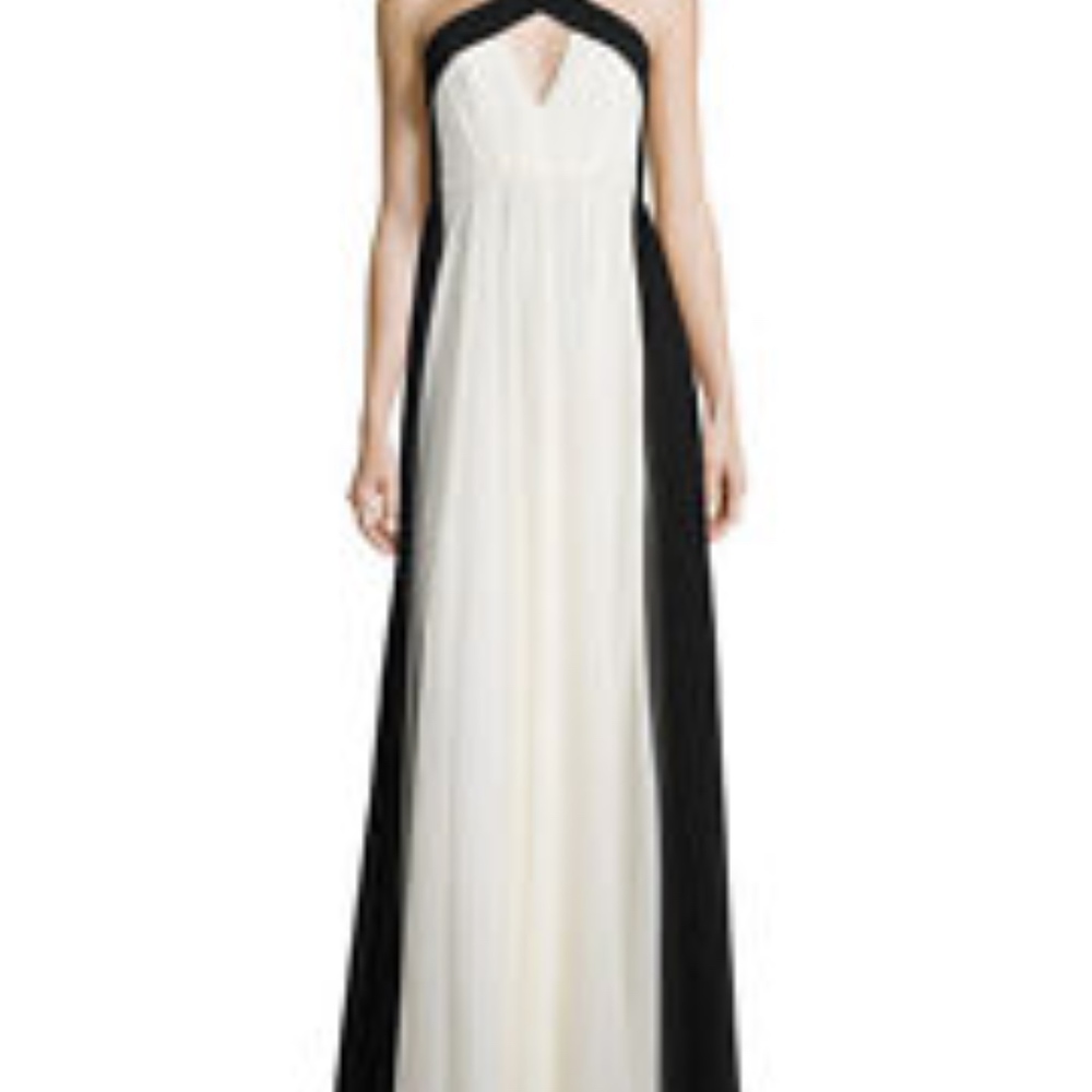 HALSTON HERITAGE Colorblock Gown in Chiffon